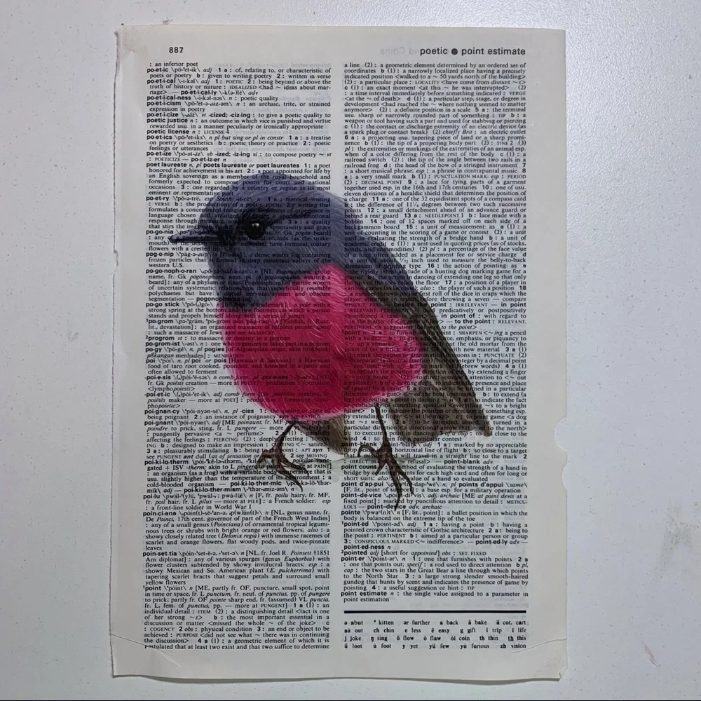 Dictionary Art Print Pink Robin Bird, Vintage Art Print